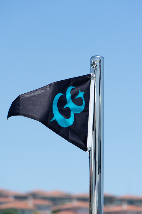 Eternal Spark flag